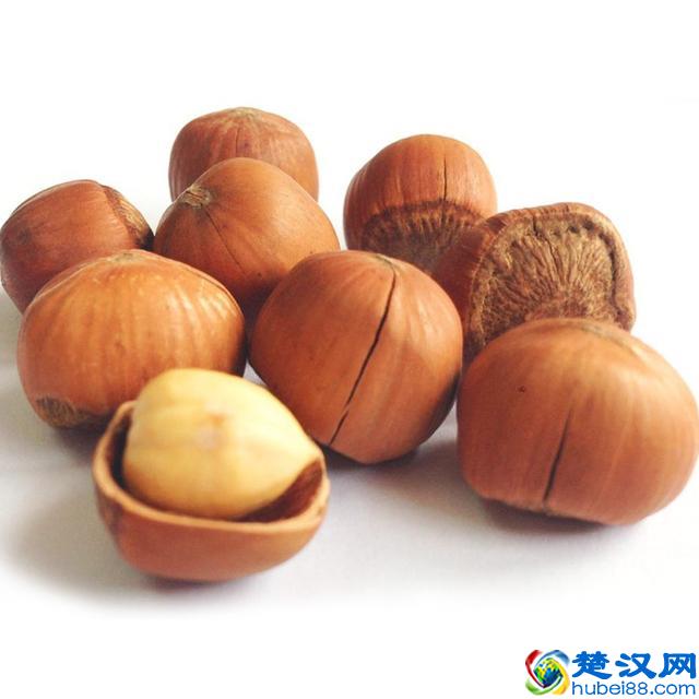 南方人没有吃过的东北榛子，到底有什么特殊功效