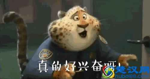 你有口福啦！今后，在青羊生鲜立马“宅急送”！