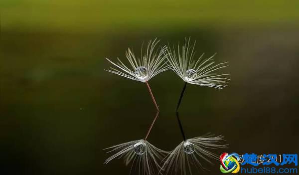 文案是做些什么工作?想学习文案不可不知道