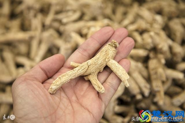 老中医不外传:冬天手脚冰冷,吃这些药材超管用