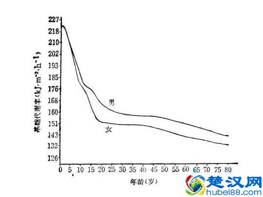 男人比女人减肥效果更好更快？女人对自己减肥这么狠是有原因的