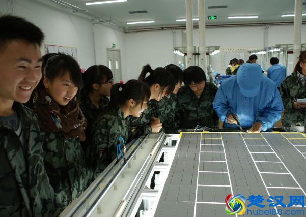 如果你不想进厂打工，想学点有前途的技术，就点进来！