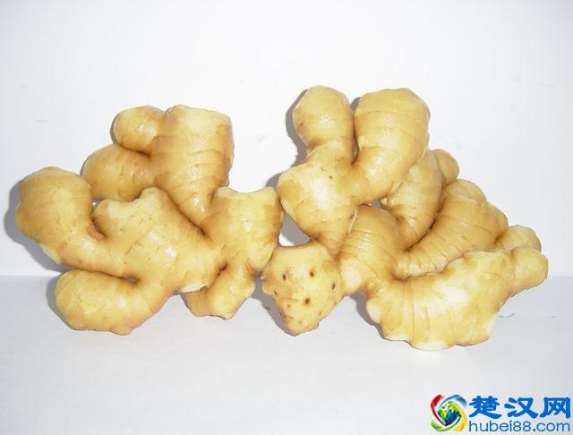 喝酒前来杯生姜藕汁可解酒 这些饮品可以养胃护肝