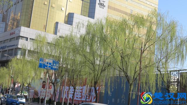 太原一条三百多年的商业街 柳巷观柳说柳巷前世今生