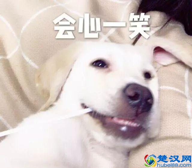 来了！郑州宜家开业时间曝光！体验中心正式开放，逛吃攻略看这里