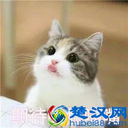 来了！郑州宜家开业时间曝光！体验中心正式开放，逛吃攻略看这里