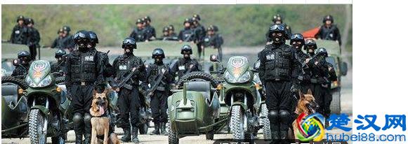 科普：军队中的中校是什么级别？