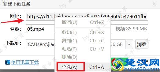 为什么下载时总是没速度？这个方法让你从此告别龟速