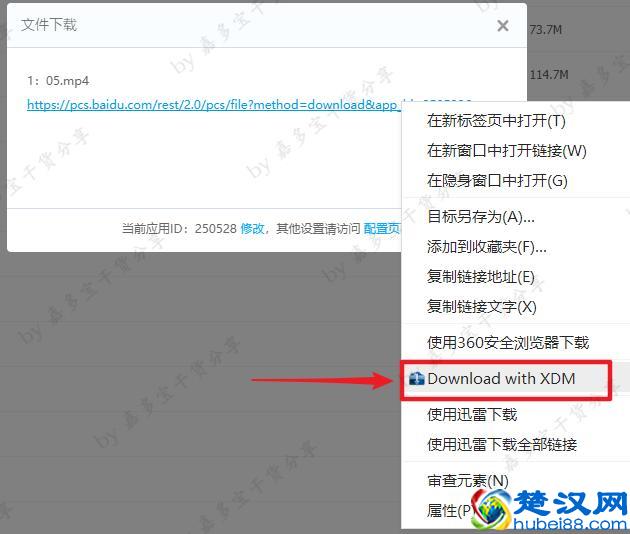 为什么下载时总是没速度？这个方法让你从此告别龟速