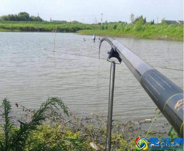 鱼竿该买什么牌子？老钓手帮你分类，既省钱又能买到好货！