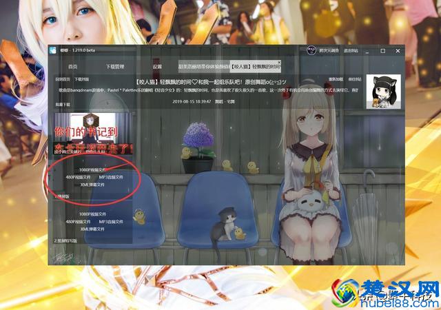 只需四步 教你下载B站视频