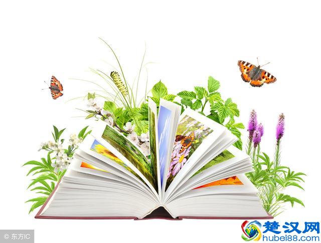 编校业务：扉页是指哪一页？