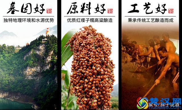 蒋旭刚：酱香型白酒对身体有什么好处？