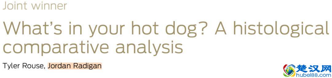 街边2元一根的烤肠，里面究竟是什么肉？