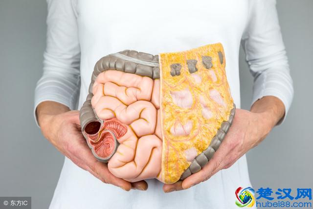 为什么有的人怎么吃都吃不胖？原因可能是这3个