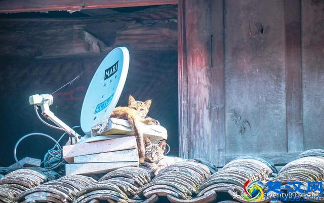 这个地方因袜子出名，一年能卖20亿！