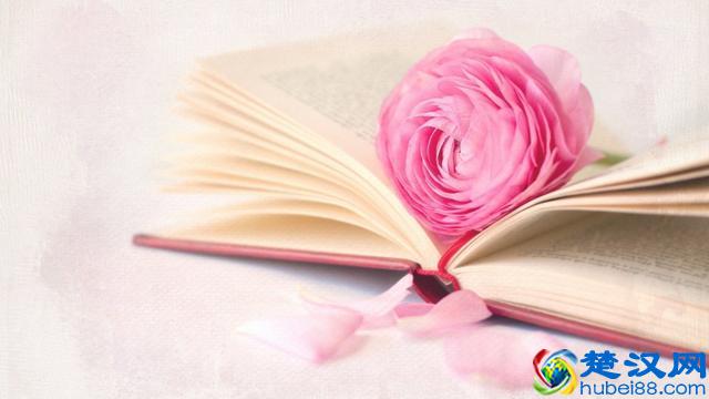 喜欢粉色的人有怎样的心理?