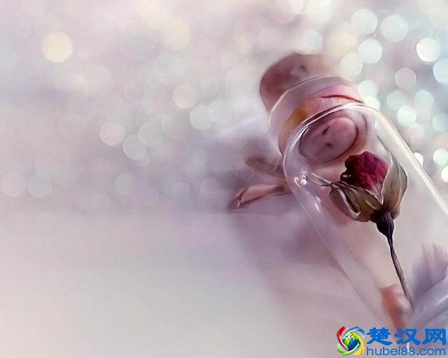 喜欢粉色的人有怎样的心理?