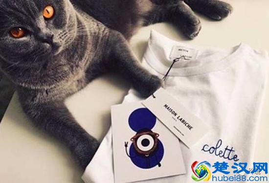 这些百搭时髦，便宜好看的白T恤究竟是啥品牌？