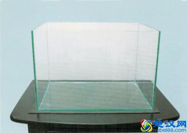 海水专栏 ｜ 手把手教您饲养小丑鱼！