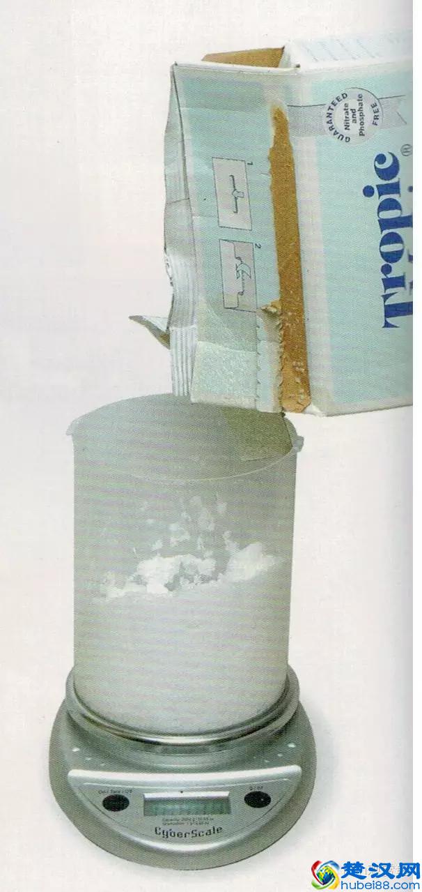 海水专栏 ｜ 手把手教您饲养小丑鱼！