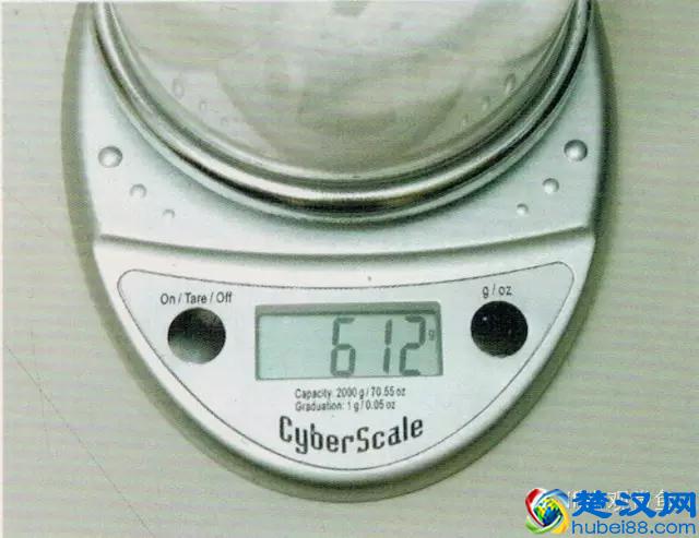 海水专栏 ｜ 手把手教您饲养小丑鱼！