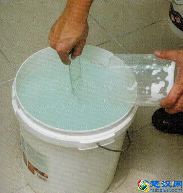 海水专栏 ｜ 手把手教您饲养小丑鱼！