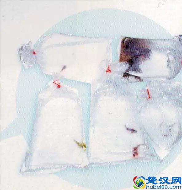 海水专栏 ｜ 手把手教您饲养小丑鱼！