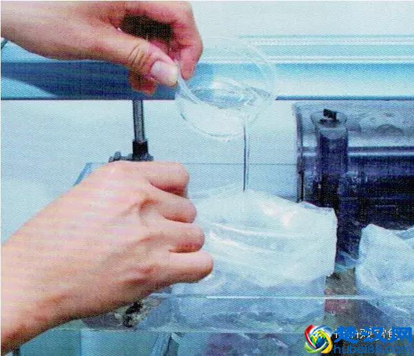 海水专栏 ｜ 手把手教您饲养小丑鱼！