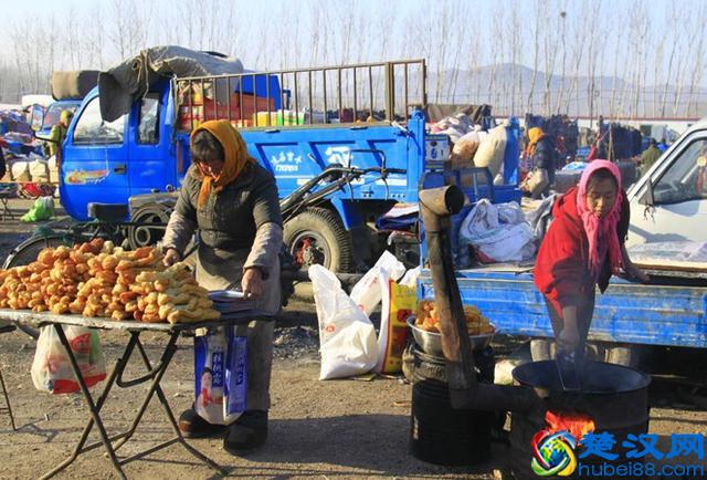 如果农民不想在城市打工了，回到农村干点什么能养活一家人？