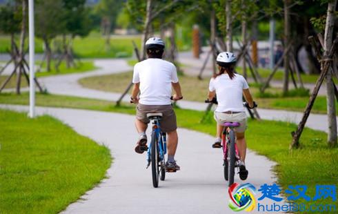 青少年掉头发怎么办，从生活习惯做起