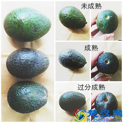 不会吃牛油果的看过来 史上最全牛油果吃法