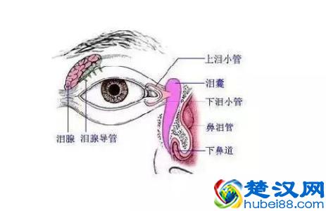 不了解眼线笔，只怕怎么画都晕妆？