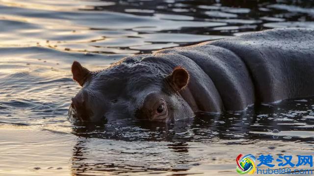 不知道怎么写标题才有吸引力？大神用了3招，推荐量冲到700万