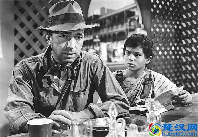 好莱坞太弱了，竟然没发现这部电影的伟大之处