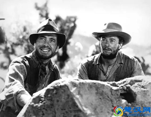 好莱坞太弱了，竟然没发现这部电影的伟大之处