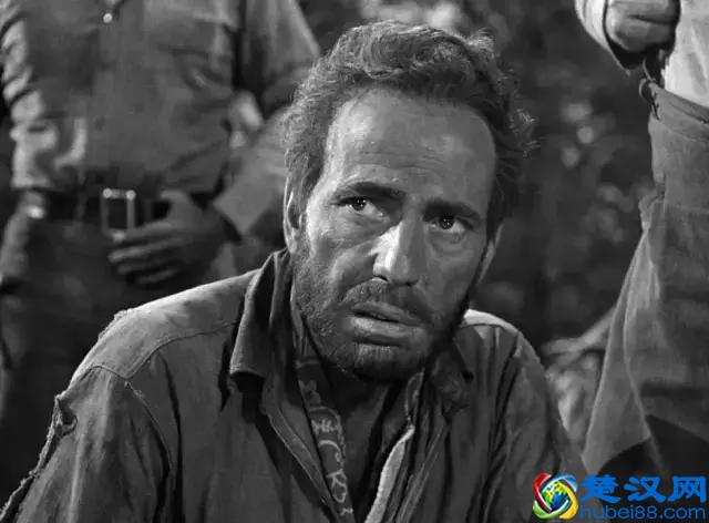 好莱坞太弱了，竟然没发现这部电影的伟大之处