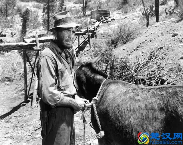 好莱坞太弱了，竟然没发现这部电影的伟大之处