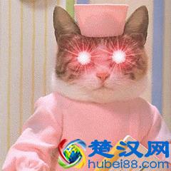 手机自带语音转文字功能？会议记录再也不用手写了，太赞了