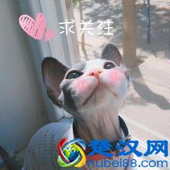 手机自带语音转文字功能？会议记录再也不用手写了，太赞了