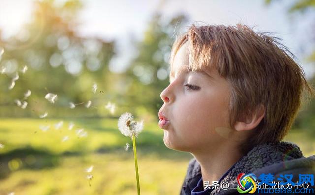 网站：申请icp经营许可证要准备哪些材料清楚吗？-上海