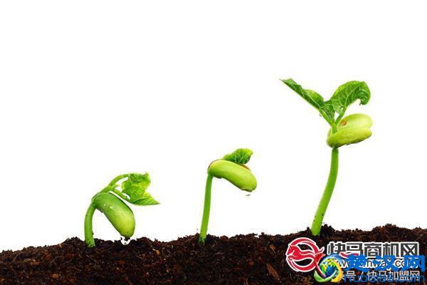 农村街镇上适合开哪些店？这几个投资小、市场大的店铺值得了解！