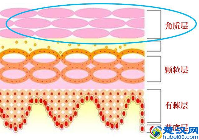 脸上有红血丝怎么办？仅需三招彻底摆脱红血丝！