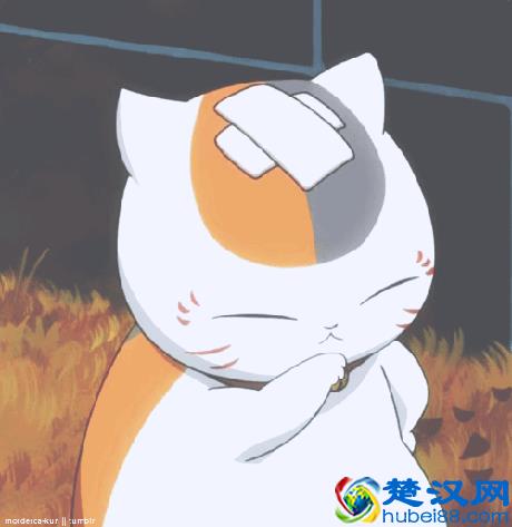 您关注的2019年度创业担保贷款政策来了！