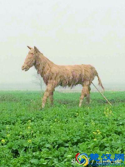 “始作俑者，其无后乎”究竟啥意思？