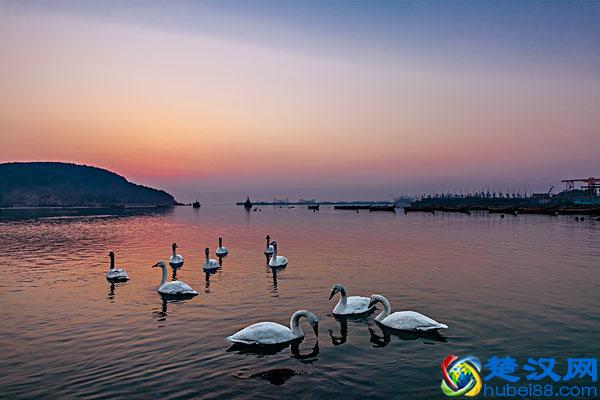 荣成市最牛的2个小城镇