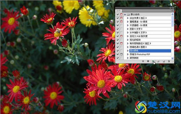 photoshop动作使用详细指南