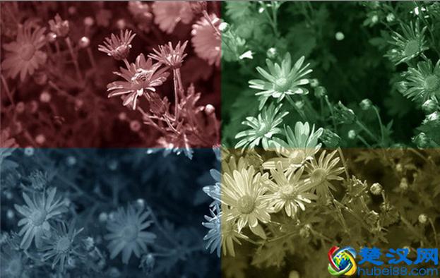 photoshop动作使用详细指南