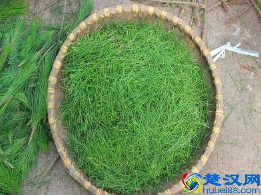 手上长鹅掌风怎么治疗？4个小偏方帮你轻松搞定