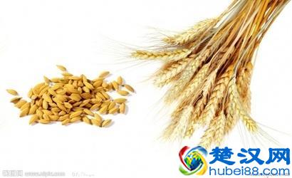 五谷杂粮都有哪些？五谷杂粮养生食谱都有什么？